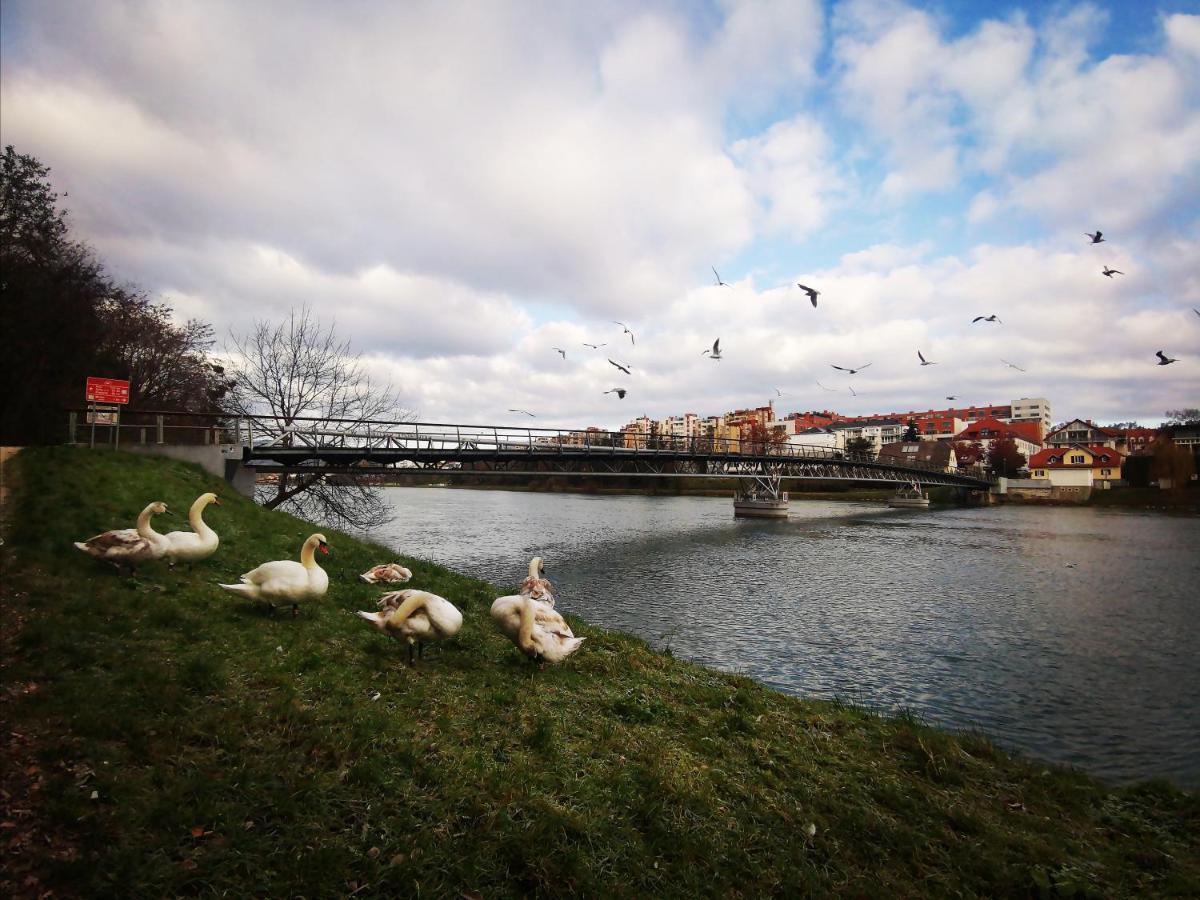 Apartment Lent Марібор Екстер'єр фото